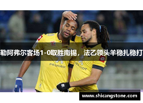 勒阿弗尔客场1-0取胜南锡，法乙领头羊稳扎稳打